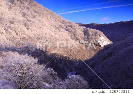 朝陽に染まる樹氷と川霧 126733851
