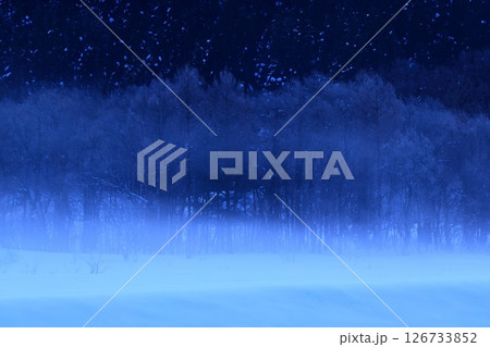 朝陽に染まる樹氷と川霧 126733852