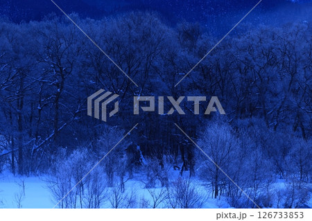 朝陽に染まる樹氷と川霧 朝陽に染まる樹氷と川霧 126733853