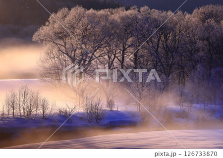 朝陽に染まる樹氷と川霧 126733870