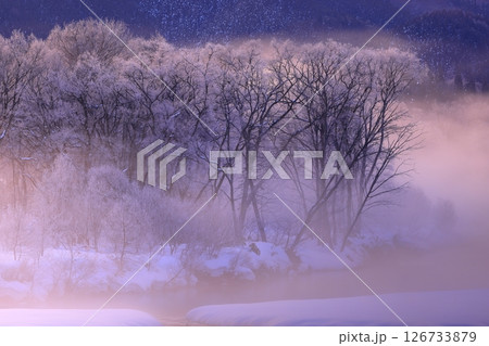 朝陽に染まる樹氷と川霧 126733879