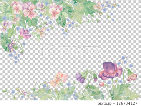 Violets flowers and forget-me-nots. Watercolor clipart illustration of top and bottom floral frame on white background. For invitations, postcards, business cards. Decorating cups, dishes, etc. Violets flowers and forget-me-nots. Watercolor clipart illustration of top and bottom floral frame on white background. For invitations, postcards, business cards. Decorating cups, dishes, etc. 126734127