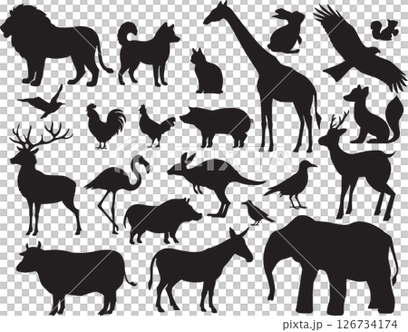 Animal silhouette Animal silhouette 126734174