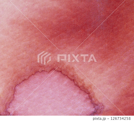 Beautiful watercolor texture with rich pink and red tones and subtle variations in depth and hue 126734258