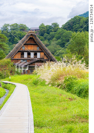 【世界遺産】稲の実った初秋の白川郷【岐阜県】 126734914
