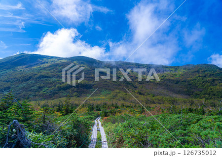 【山岳素材】初秋の頃の天狗原と雲海【長野県】 【山岳素材】初秋の頃の天狗原と雲海【長野県】 126735012