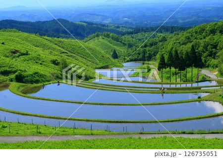 初夏の扇田(熊本県産山村) 初夏の扇田(熊本県産山村) 126735051