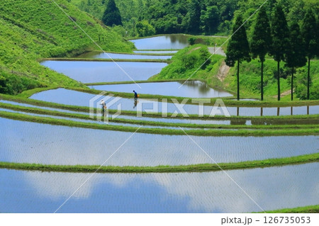 初夏の扇田（熊本県産山村） 126735053