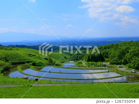 初夏の扇田(熊本県産山村) 初夏の扇田(熊本県産山村) 126735054