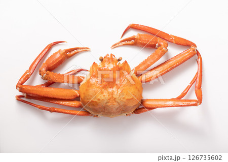 紅ズワイガニ 126735602