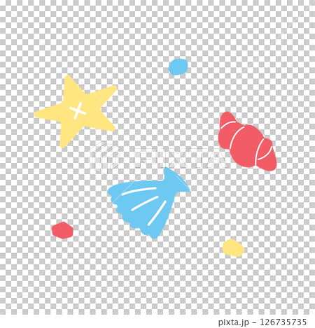 Seashell illustration 126735735