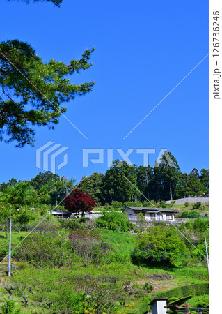 急斜面に建つ民家 新緑の里山 花桃の里 東秩父村 急斜面に建つ民家 新緑の里山 花桃の里 東秩父村 126736246