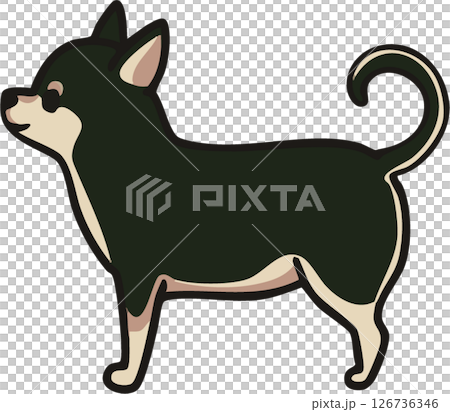 從側面看一隻可愛的光滑吉娃娃（黑色和棕褐色）的插圖 126736346