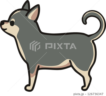横から見た可愛いスムースチワワ（ブルータン）のイラスト 126736347