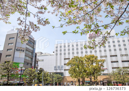 JR 大森駅前 桜 東京都大田区大森 JR 大森駅前 桜 東京都大田区大森 126736373