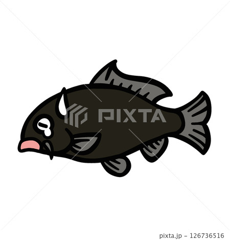 シンプルな悲しむ鯉のイラスト シンプルな悲しむ鯉のイラスト 126736516
