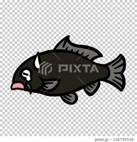 シンプルな悲しむ鯉のイラスト シンプルな悲しむ鯉のイラスト 126736516