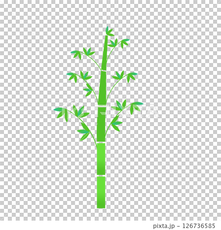 簡單的竹子矢量插畫 簡單的竹子矢量插畫 126736585