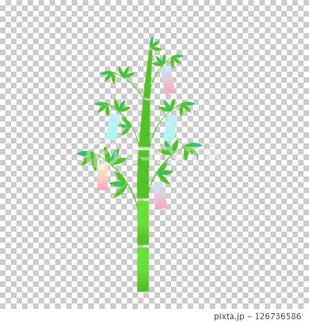 七夕紙條上的竹子插圖 126736586