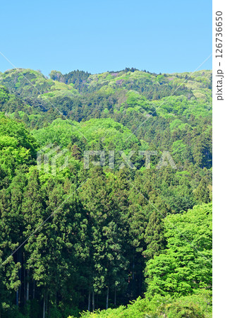 里山の風景　新緑の季節　花桃の里　東秩父村 126736650