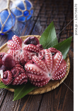 蛸 / ゆでだこ 蛸 / ゆでだこ 126736670