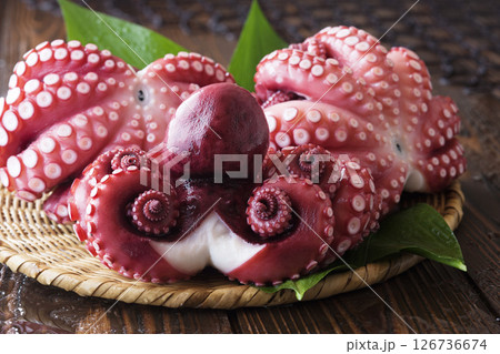 蛸 / ゆでだこ 126736674