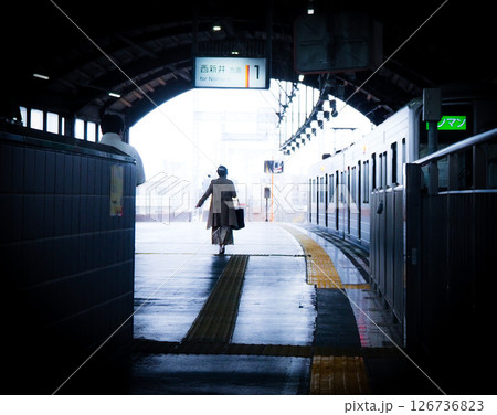 西新井大師駅の風景 西新井大師駅の風景 126736823