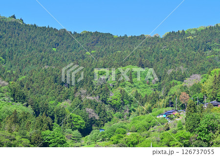 里山の風景　新緑の季節　花桃の里　東秩父村 126737055