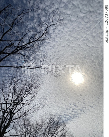 空と雲と太陽 126737099
