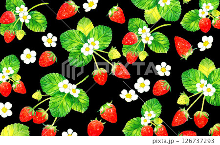 いちごの果実の背景　フルーツの手描き水彩イラスト素材 126737293