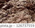 波風に浸食された堆積岩の表面 126737559