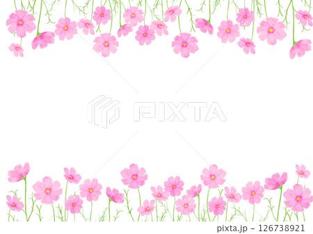 コスモス　花　水彩　秋　イラスト 126738921