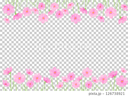 コスモス　花　水彩　秋　イラスト 126738921
