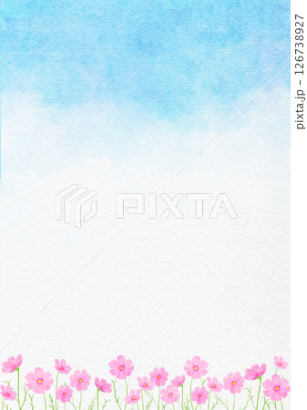コスモス　花　水彩　秋　イラスト 126738927