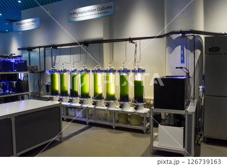 Singapore, Singapore - 4 April 2025: Interior of the Research and Learning Centre at Singapore Oceanarium showcasing marine science exhibits and educational displays 126739163