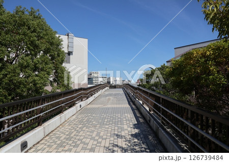 名古屋港ガーデンふ頭 名古屋港ガーデンふ頭 126739484