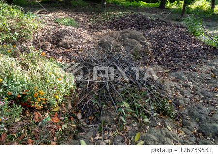植物廃材 植物性廃棄物 植物発生材 植物資源材 植物廃材 植物性廃棄物 植物発生材 植物資源材 126739531