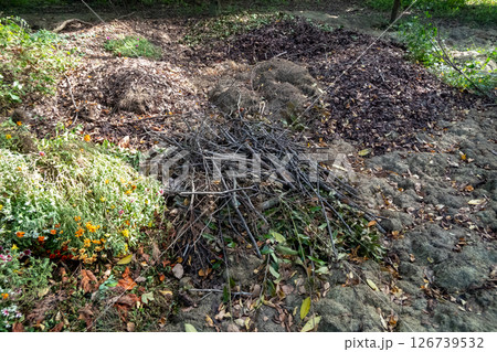 植物廃材　植物性廃棄物　植物発生材　植物資源材 126739532