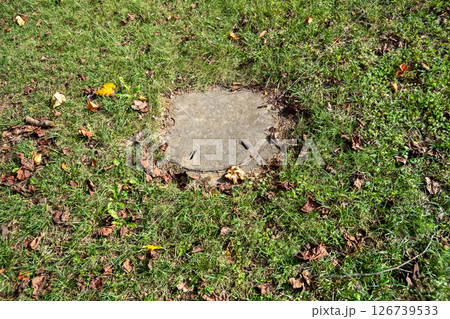 雑草に覆われて隠れるマンホール 126739533