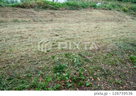 草刈りした後の土手 126739536