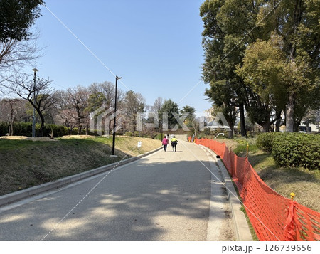 新たな愛知県体育館建設に伴い整備中の名城公園（名古屋市） 126739656