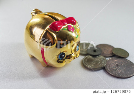 豚の貯金箱 豚の貯金箱 126739876