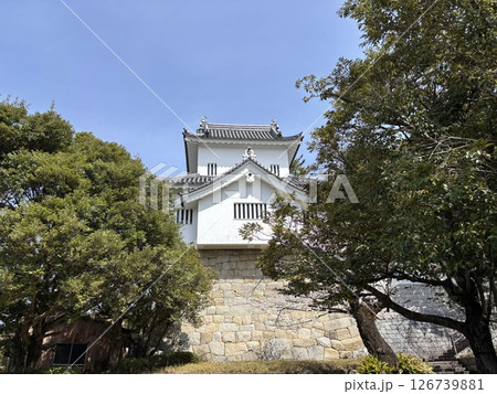 七州城（愛知県豊田市） 126739881