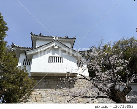 七州城（愛知県豊田市） 126739882