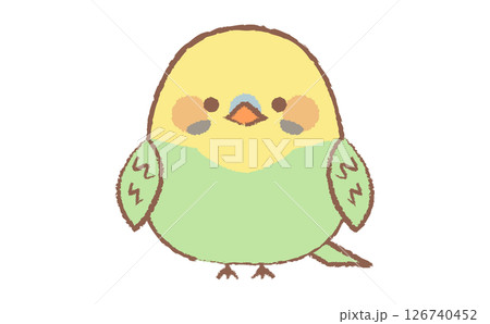 かわいいインコの手描き風のキャラクターイラスト 126740452