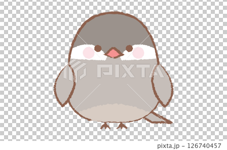 Cute hand-drawn illustration of a Java sparrow 126740457