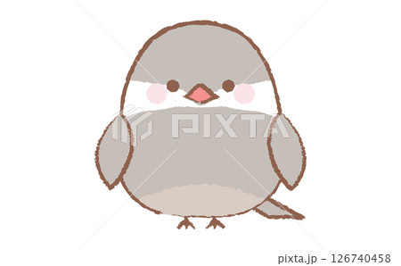 かわいい文鳥の手描き風のイラスト 126740458