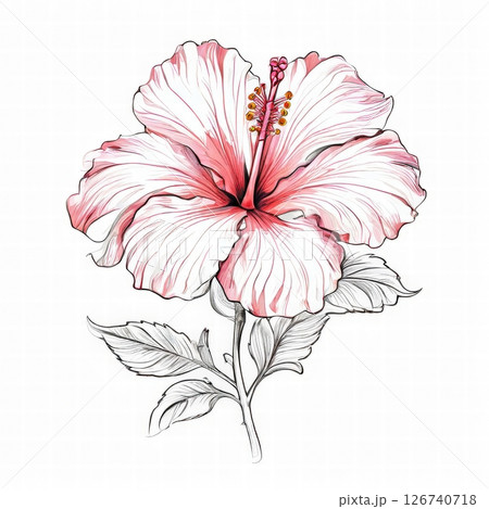 an AI Image Generator, Bright Pink Hibiscus Flower Illustration with Leaves 126740718