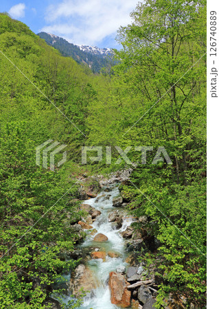 初夏の七倉登山口 大町市 初夏の七倉登山口 大町市 126740889