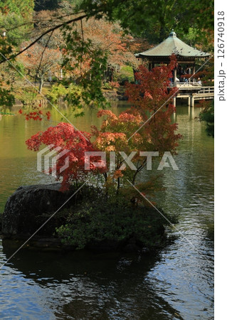 紅葉のある庭園 126740918